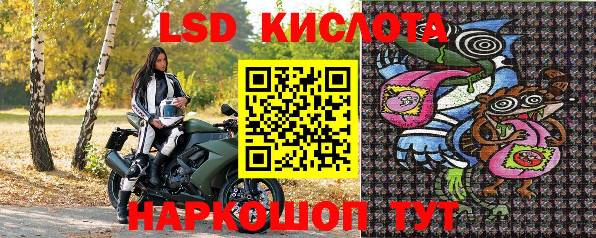 Псилоцибиновые грибы Советская Гавань