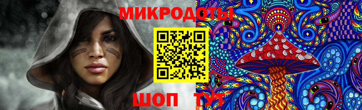 Советская Гавань  Псилоцибиновые грибы Cubensis  Вход с VPN 